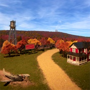 Terry's Taxidermy - Teddy Hyde