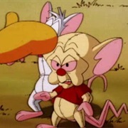 S3.E25: Brainie the Poo/Melancholy Brain