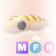 ･､ ˢᵃⁿᵈ ᶠⁱˢʰ