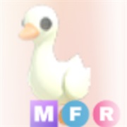 ･､ ᵍᵒᵒˢᵉ