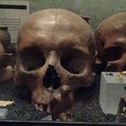 Walbrook Skulls