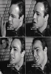"I Coulda Been a Contender.": Brando in on the Waterfront (1954)