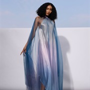 Shiny Satin Dress Under Colored, Sheer Overlay