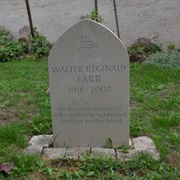 Grave of Walter "Snowy" Farr