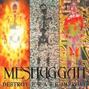 Destroy Erase Improve - Meshuggah (1995)