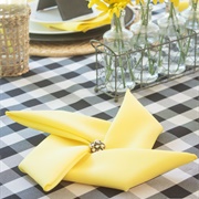 Napkin Folding as Part of Decor