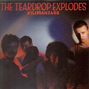 Kilimanjaro - The Teardrop Explodes