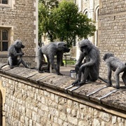 The Tower of London Menagerie