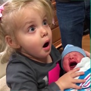 Try Not to Laugh or Grin Videos