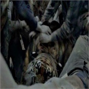 The Walking Dead: "Some Guy" (S8,E4)