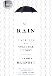 Rain: A Natural and Cultural History (Cynthia Barnett)