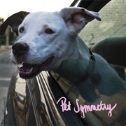 Two Songs About Cars. Two Songs With Long Titles - Pet Symmetry