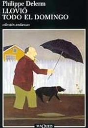 Llovió Todo El Domingo (Philippe Delerm)
