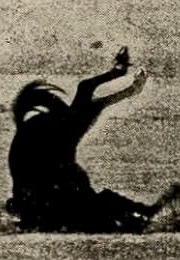 The Favorite Son (1913)