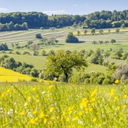 Bliesgau Biosphere Reserve, Germany
