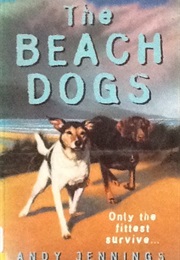 The Beach Dogs (Andy Jennings)