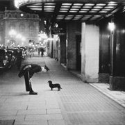 The Commissionaire's Dog (Kurt Hutton)