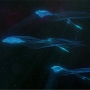 Watch Stingrays Float Across the Comos