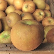Russet Apples