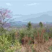 Mimi's Trail, Thetford Center, VT