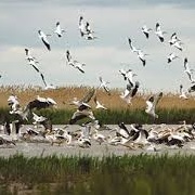 Akzhayik Biosphere Reserve, Kazakhstan