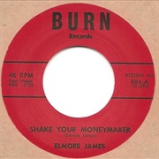 Shake Your Moneymaker - Elmore James