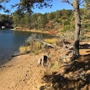 South Dennis, Cape Cod