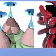 Things That Don't Exist