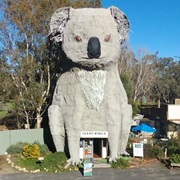 Giant Koala, Dadswells Bridge, Victoria, Australia
