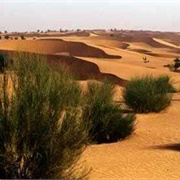 Ferlo Desert, Senegal