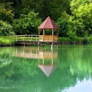 Pădurea Plaiul Fagului