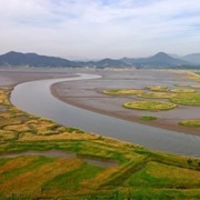 Suncheon Bay Biosphere Reserve, South Korea