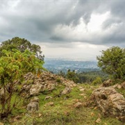 Entoto Mountains