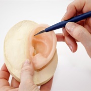 S24.E8: Gas Barbecues/Mattress Pads/Ear Prostheses