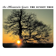 Dance Music - The Mountain Goats