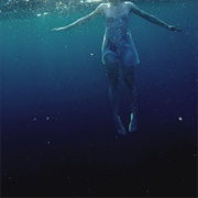 The Shark in Your Water (Flower Face, 2022)