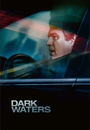Dark Waters (2019)