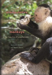 Manipulative Monkeys: The Capuchins of Lomas Barbudai (Susan Perry)