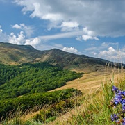East Carpathian Reserve: Poland, Slovakia and Ukraine