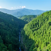 Sobo, Katamuki & Okue Biosphere Reserve, Japan