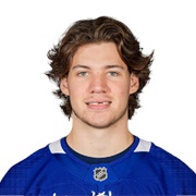Nikita Grebenkin (Toronto Maple Leafs)