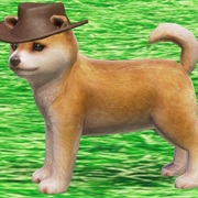 Nintendog