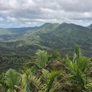 Luquillo Experimental Forest Biosphere Reserve, Puerto Rico, USA
