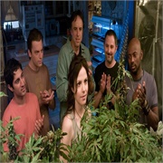 Weeds: "MILF Money" (S2,E8)