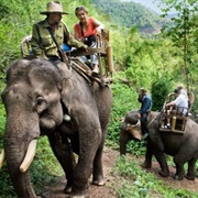 Ride an Elephant