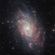 Triangulum/Pinwheel Galaxy