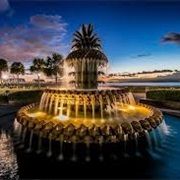 Pineapple Fountain, Charleston