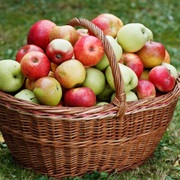 Apple Basket