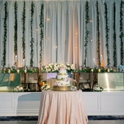 Vertical Hanging Vines