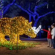 Zoo Lights